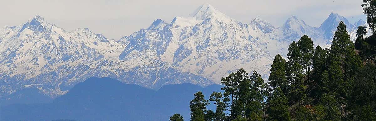 Больницы AyurVAID Уттаракханд