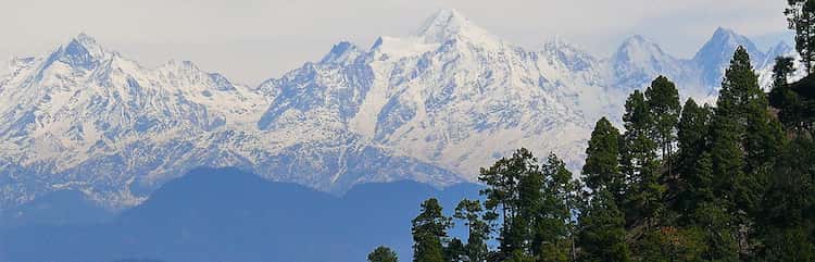 Больницы AyurVAID Уттаракханд