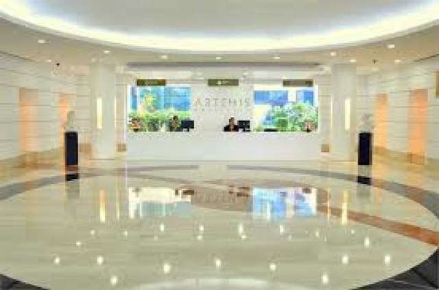Artemis Hospital