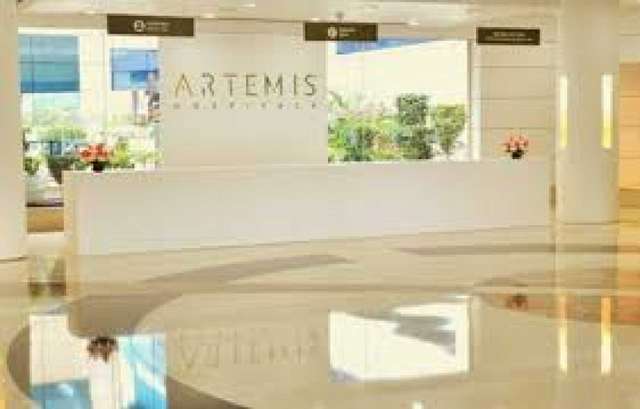 Artemis Hospital