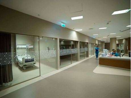 Istinye University Hospital