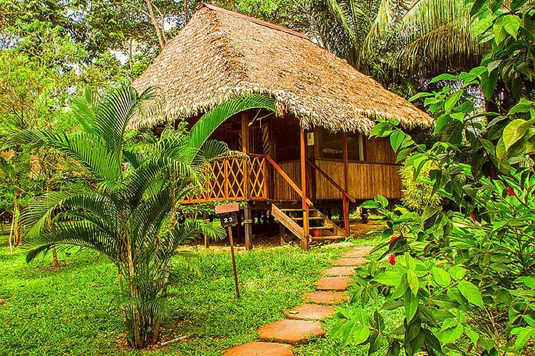 Beautiful Jungle Lodge