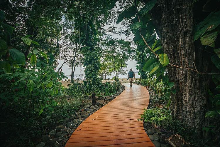 Отель Bosque Del Mar