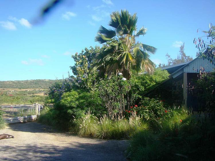 Yoga Centrum Curacao
