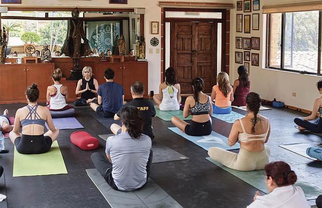 La Buena Vibra Wellness Retreats