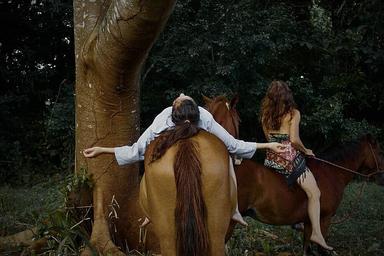 6 Day Journey of Love with Horses in Costa Rica