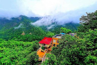 8 Day Blissful Ayurvedic Detox and Yoga Retreat in Rishikesh
