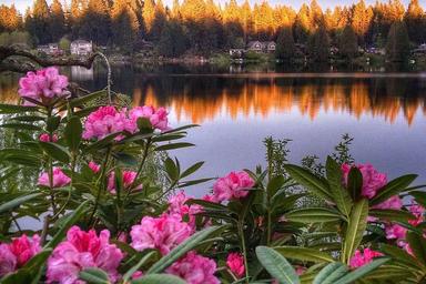 3 Day Cottage Lake B&B Spiritual Retreat in Woodinville, USA