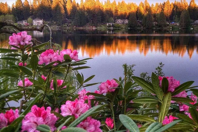 3 Day Cottage Lake B&B Spiritual Retreat sa Woodinville, USA