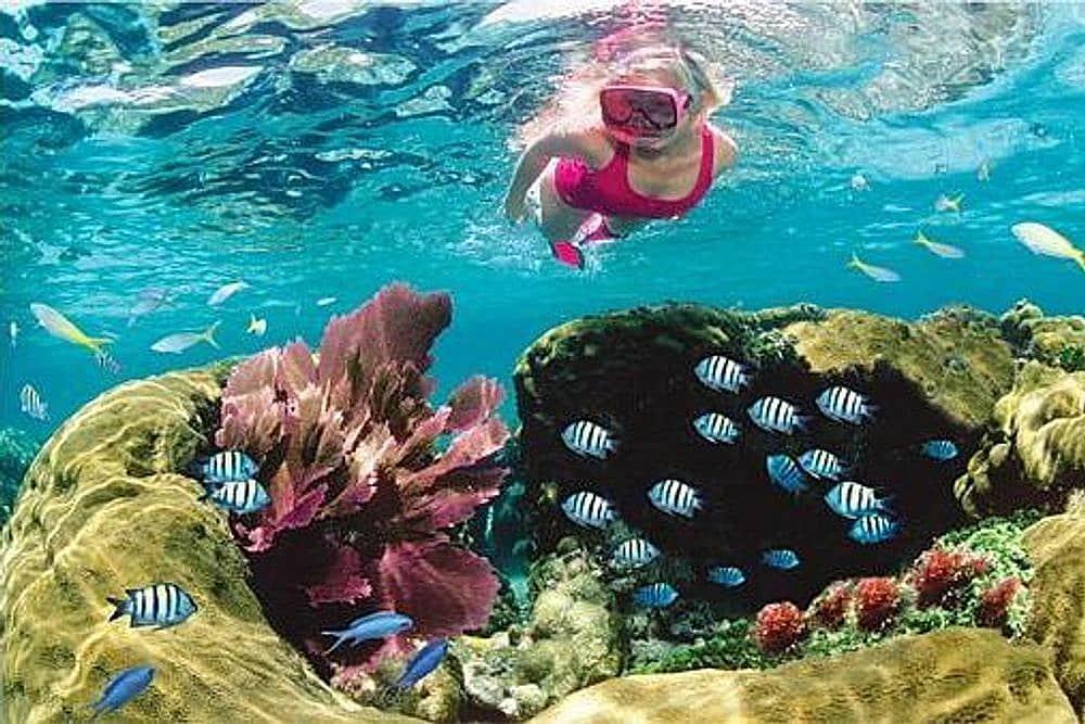 5 Day Ocean Adventure & Spa Yoga Wellness Retreat di Key West, AS