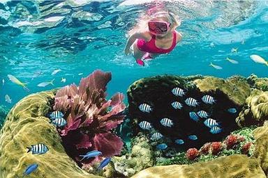 5 Day Ocean Adventure & Spa Yoga Wellness Retreat в Ки -Уэсте, США