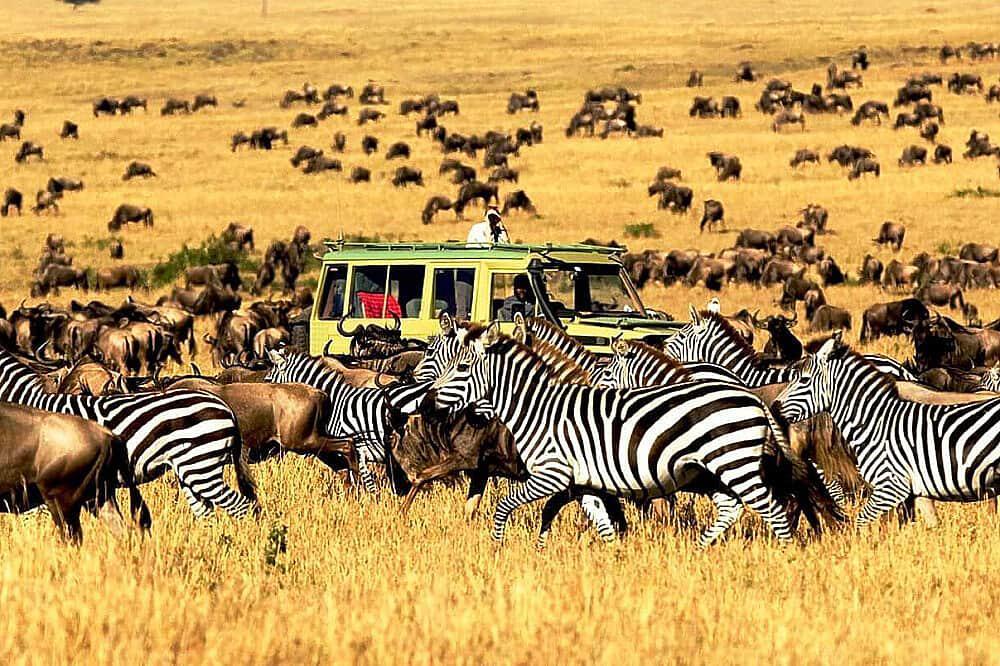 8 Safari Hari ke Taman Nasional Ngorakoro dan Serengeti, Afrika