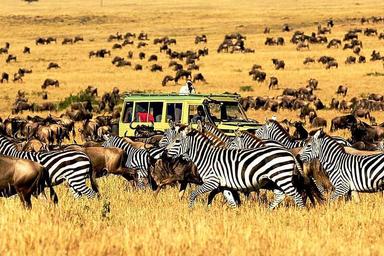8 Day Safari to Ngorongoro and Serengeti National Park, Africa