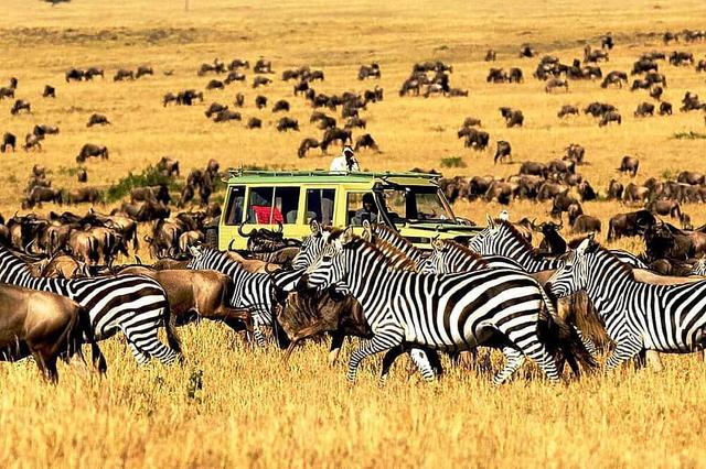 8 Day Safari to Ngorongoro and Serengeti National Park, Africa