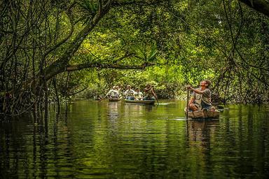 7 Day Sacred Solace Jungle Meditation & Yoga Retreat in Peru