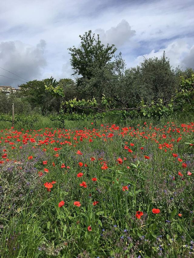 5 Day Yoga & Horseback Holiday, Abruzzi National Park, Italy