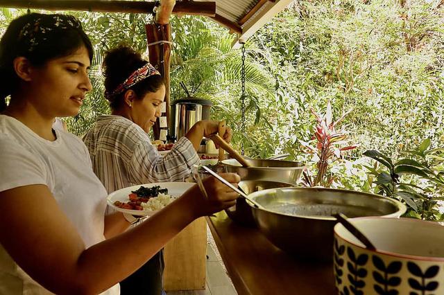 7 Day Ayurveda Cooking Immersion: Food Alchemy in Costa Rica