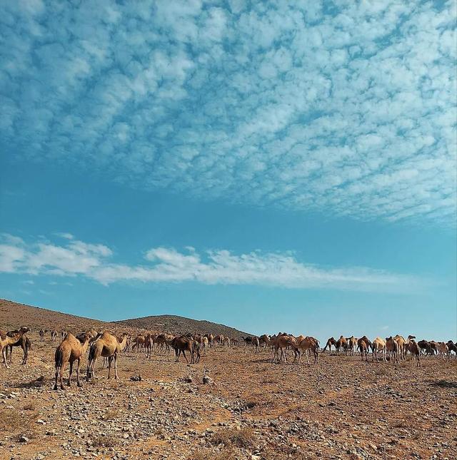 9 Day Time Out Yoga & Explore Desert Retreat au Maroc