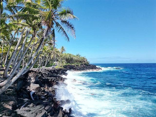 6 Day Wellness, Meditation, & Aqua Yoga Retreat di Hawaii, AS