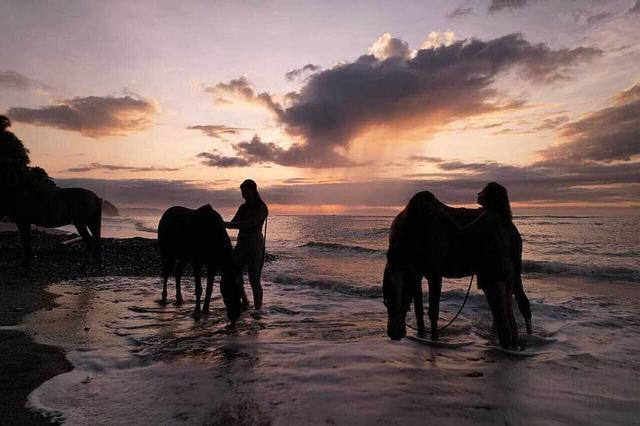 6 Araw na Paglalakbay ng Pag-ibig kasama ang mga Kabayo sa Costa Rica