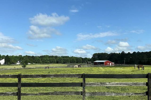 3 Retret Penyembuhan Energi Dukun & Detoksifikasi Harian di Virginia, AS