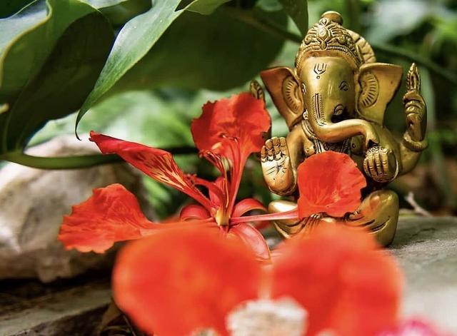 5 Day Ocean Adventure & Spa Yoga Wellness Retreat di Key West, AS