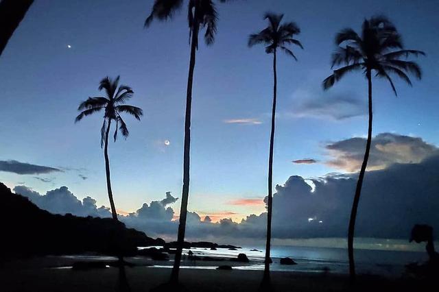 21 Day Jungle & Beach Nature Yoga Retreat in Agonda, Goa, India