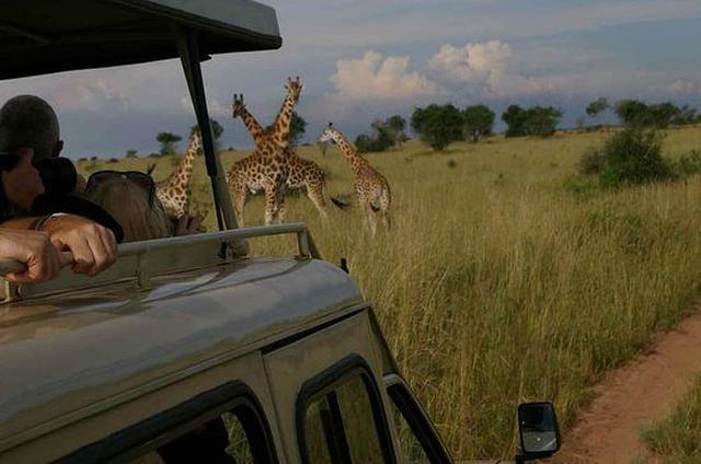 8 Day Private or Group Yoga and Safari Retreat in Kampala, Uganda