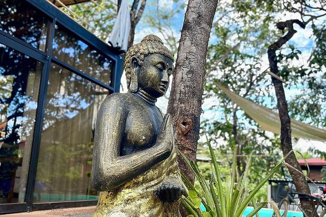 22 Day 200 Hour Yoga & Ayurveda Teacher Training in Costa Rica