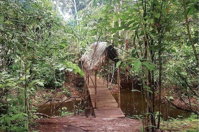7 Day Yoga, Meditation & Shamanic Retreat di Iquitos, Peru