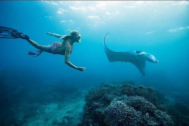 5 Day Ocean Adventure & Spa Yoga Wellness Retreat di Key West, AS