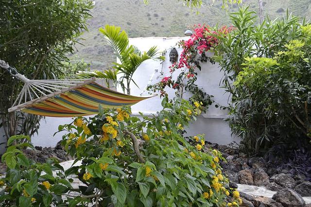 7 Hari Private Tantra Pijat & Retret Yoga di Tenerife, Spanyol