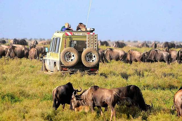 8 Safari Hari ke Taman Nasional Ngorakoro dan Serengeti, Afrika