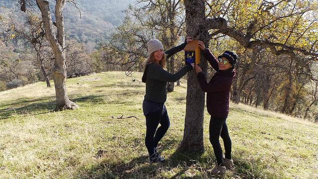 4 Day Art of Breathwork for Wellness & Stress Reduction, CA, US