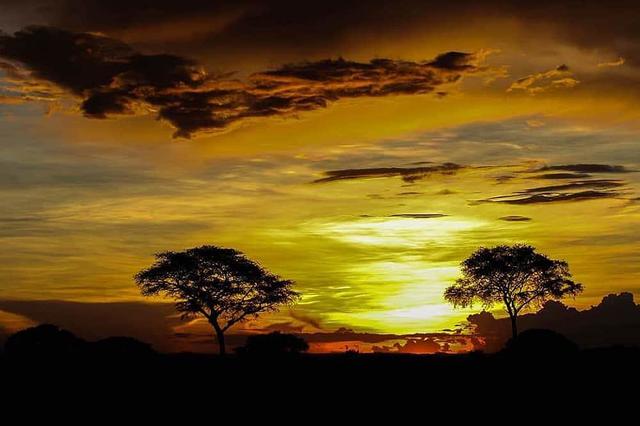 8 Day Private or Group Yoga and Safari Retreat in Kampala, Uganda