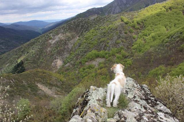 8 Day Reconnect to Your Self Personal Retreat in Ardeche, France