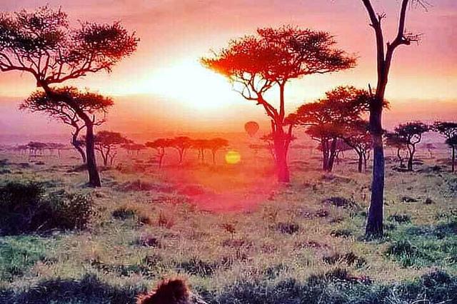 4 Day Serengeti Hot Air Balloon Safari in Tanzania, Africa