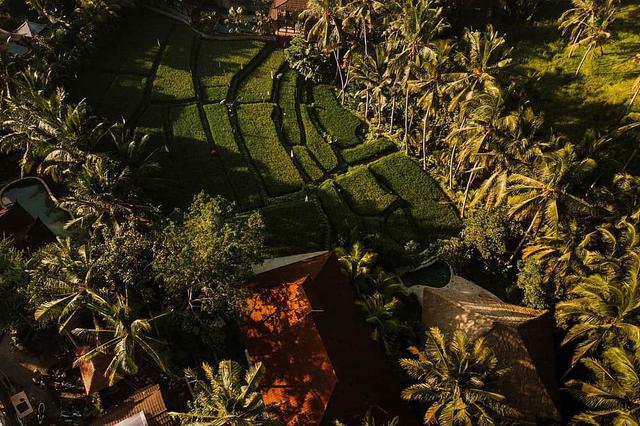 5 Journée "Méditation 1:1" Retraite de méditation et de yoga Ubud, Bali