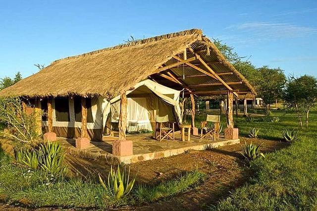 8 Safari Hari ke Taman Nasional Ngorakoro dan Serengeti, Afrika