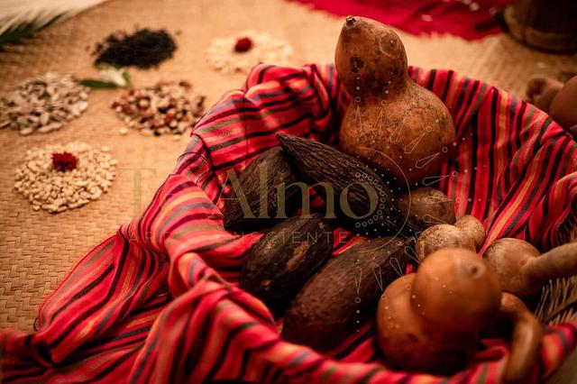 5 ቀን 1 -1 1 የግል ብቸኛ የግል ብቸኝነት በገነት, ሜክሲኮ