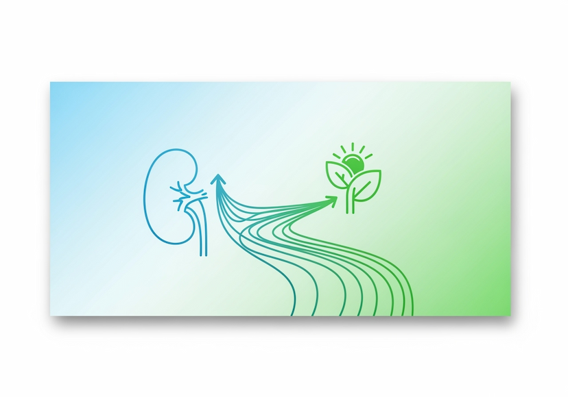 article-card-image
