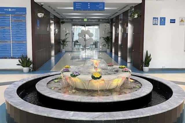 NMC Royal Hospital, DIP, Dubai