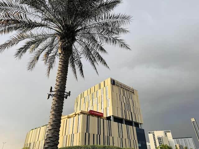 King's College Hospital London - Dubaï