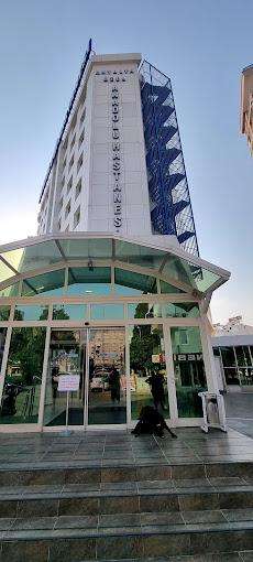 Anatolia International