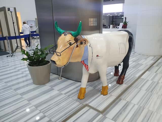 American Hospital, Istanbul