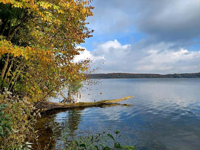 مستشفى هيليوس شفيرين