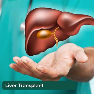 زراعة الكبد