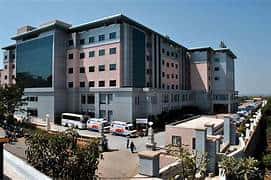 Total Hip Replacement B/L