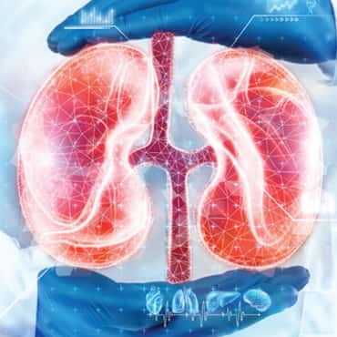 NÉPHRECTOMIE RADICALE