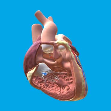 Tetral (tof) የቀዶ ጥገና ሕክምና